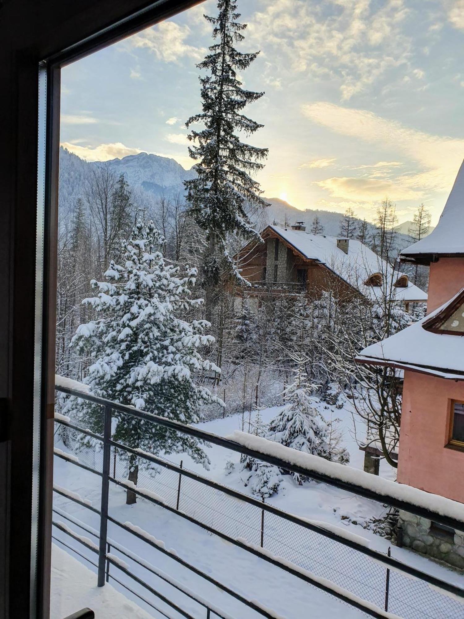 Biernat pokoje Zakopane Exteriér fotografie